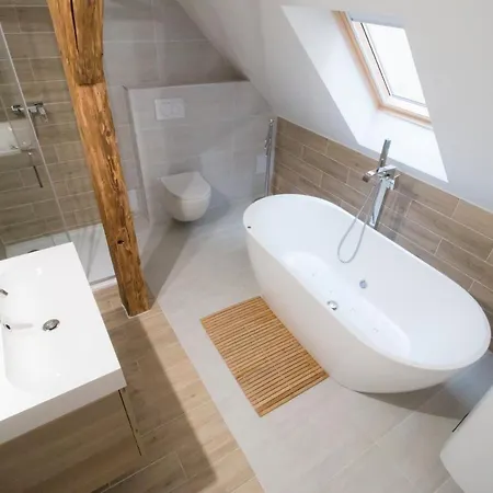 U Zlate Hvezdy Apartman Broggio Apartment *